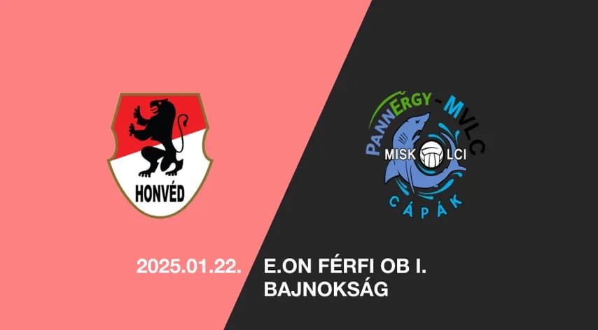 Endo Plus Service-Honvéd - PannErgy-MVLC-Miskolc